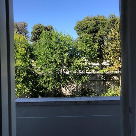 Cozy Apartment Overlooking The City Walls Zadar Buitenkant foto